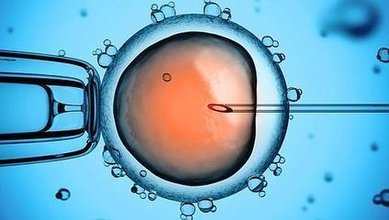借卵生殖中心_如何处理怀孕期间的便秘问题
